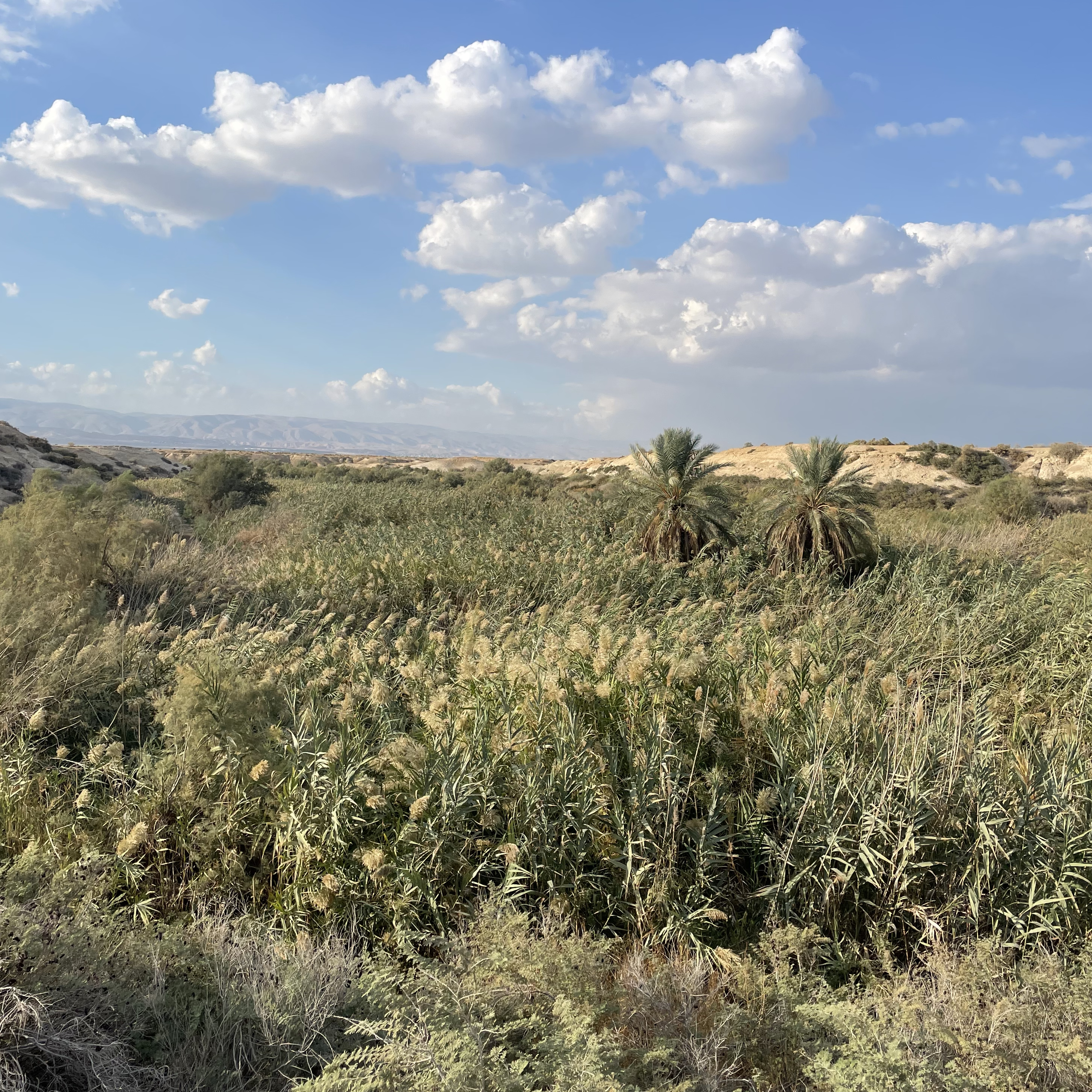 Img 3331   Ecological Preservation